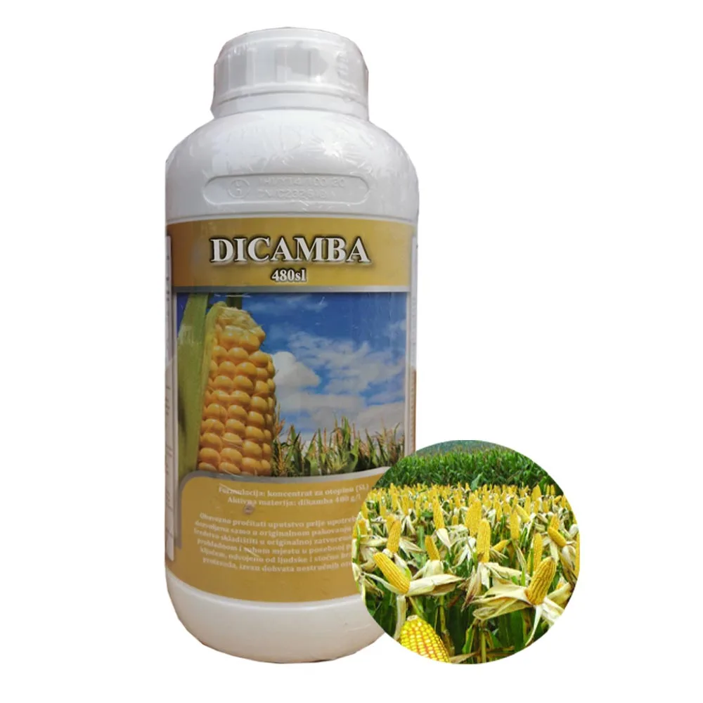  Гербицид для борьбы с сорняками Dicamba 480 г/л SL 98% TC gl sl 420 убийца сорняков dicamba