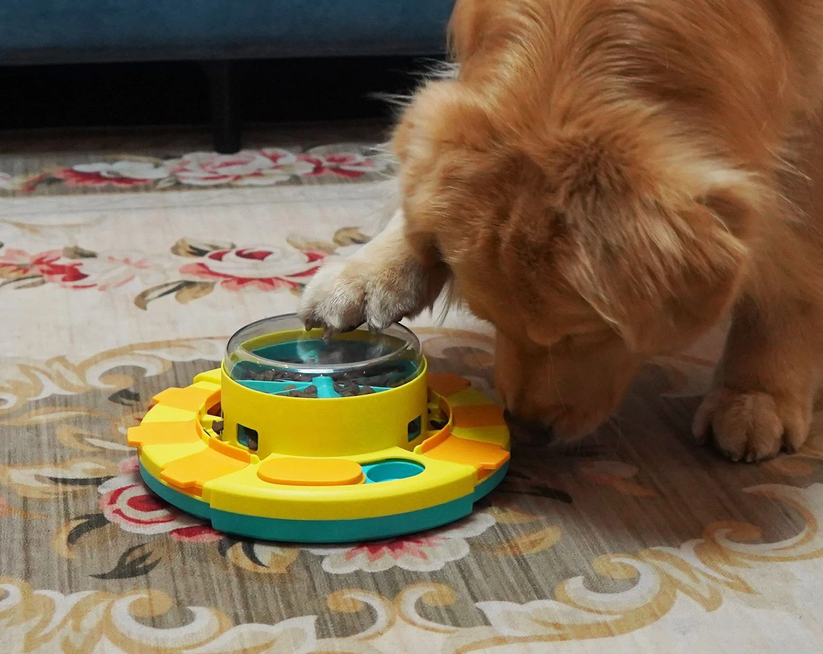 SJZ Wholesale Pet Iq Intelligent Puppy Training Food Dispenser Interactive Puzzle Game Dog Toys