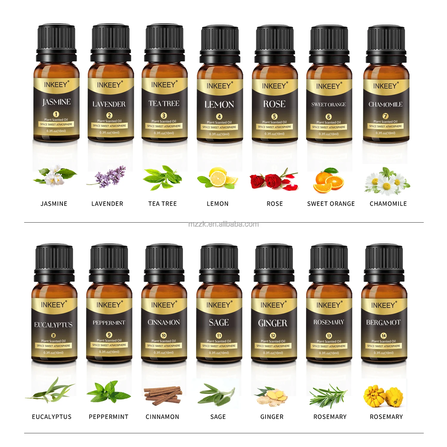 High Quality Wholesale 10ml Perfume Ginger Pure Essential Oil