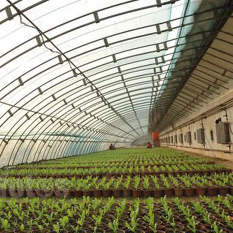 Гидропонная система выращивания комнатный сельскохозяйственный пленочный теплый сарай для пластиковых садовых теплиц