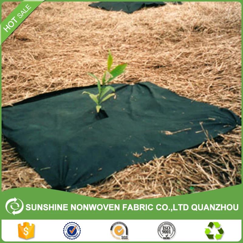 Polypropylene Nonwoven Plant Protection Blankets PP Non Woven Cover Agricultural Frost Blanket