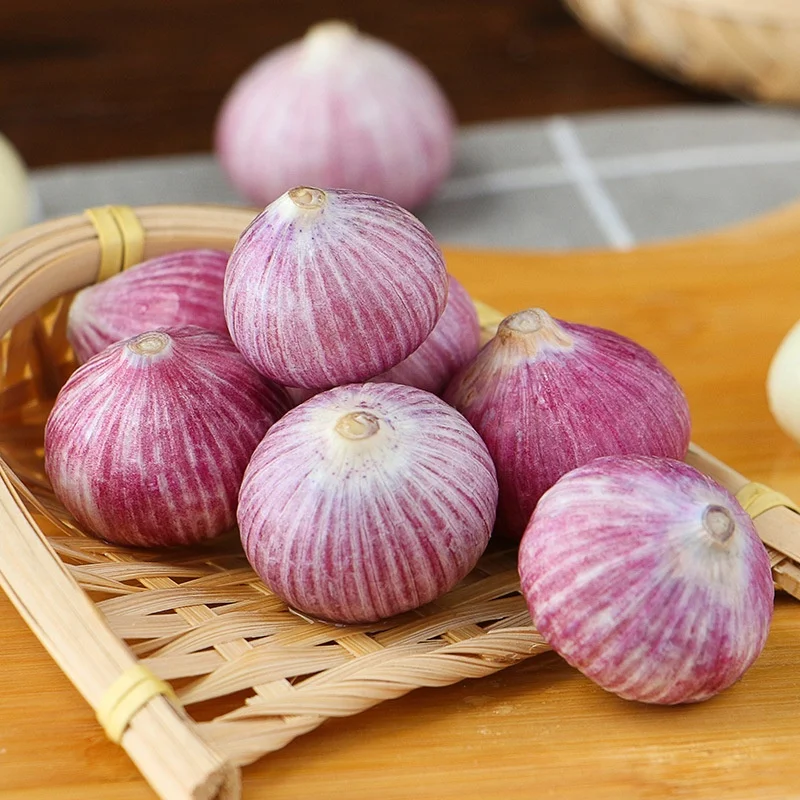 100% Natural Ripe Single Head Garlic Wholesale Price Now Digging Fresh Purple Garlic Wet and Dry Farm Vegetables