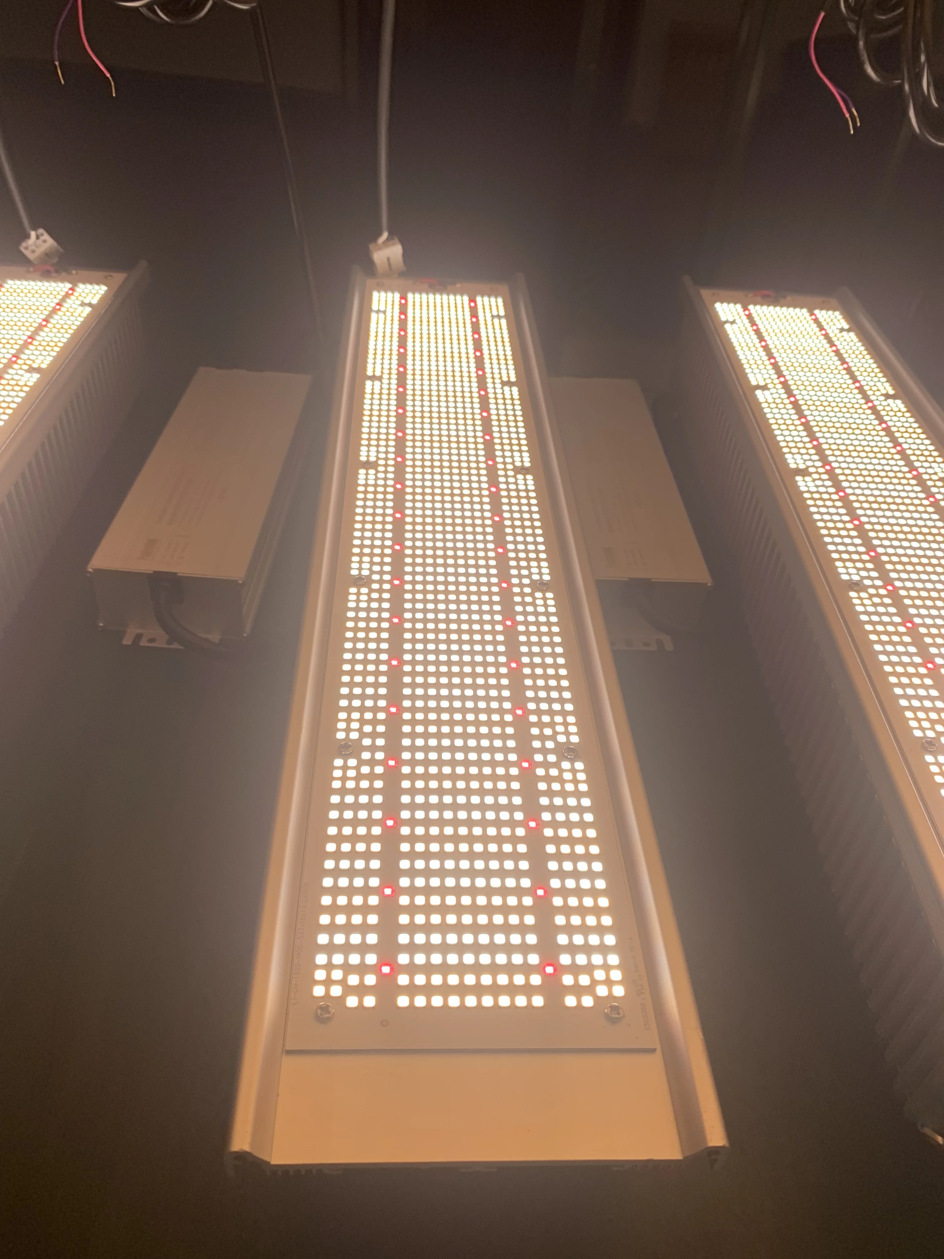 New Greenhouse Supplemental Led Top Light High Ppfd 640W Full Spectrum Slim Horticulture Grow Light Led Bar