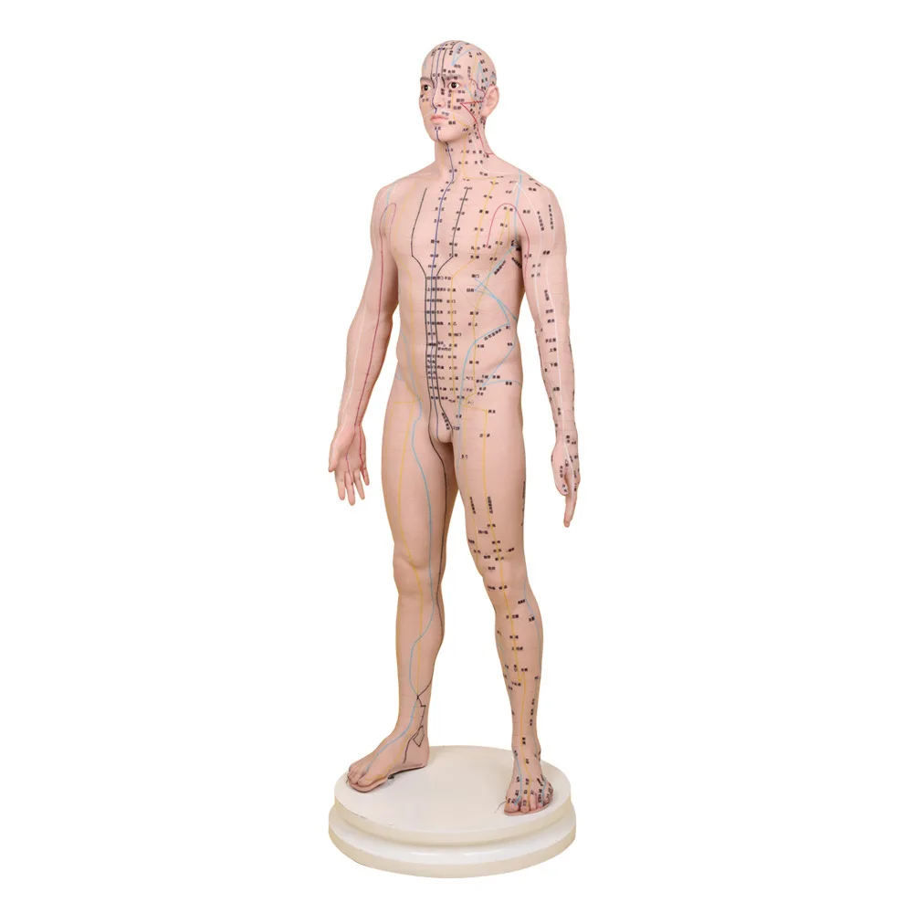 80CM High Quality Soft Silicone Acupuncture Training Model