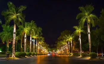 7New Design Best Quality Ring Tree Outdoor Spot Lights DC24V AC220V Mono Color RGBW IP66 Hug Tree Lights