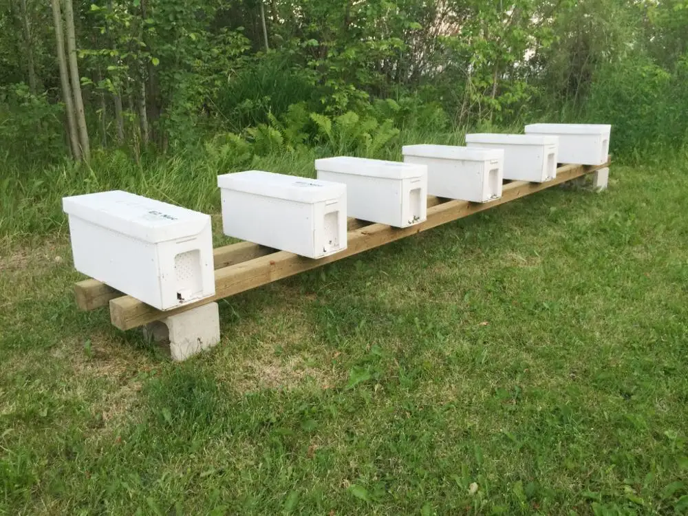 Plastic Bee Hives 5 Frames Nuc Box For Beekeeping Equipment Corflute Beehive Apicultura