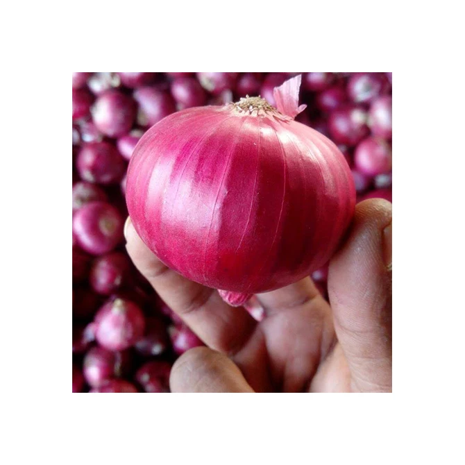 Wholesale Price Exporters Fresh Vegetables Cheap Red And White Onion