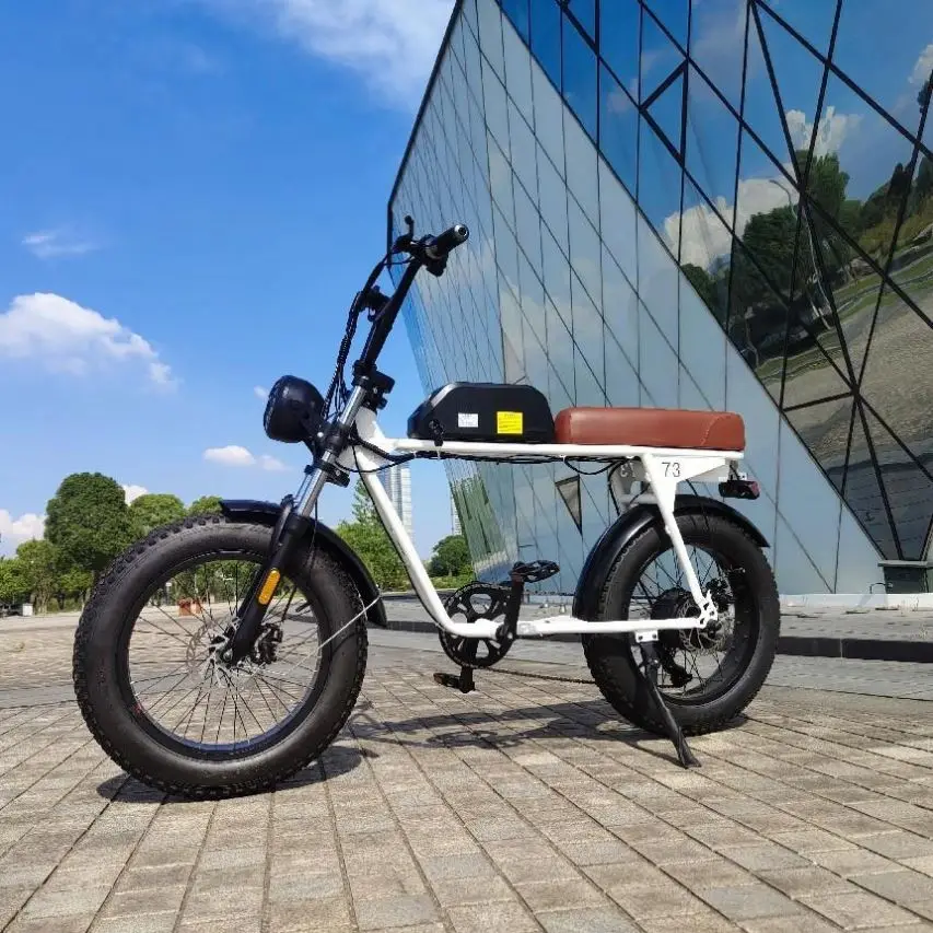 Лучшее качество Китай Производитель 60 вольт Ebike треугольная батарея