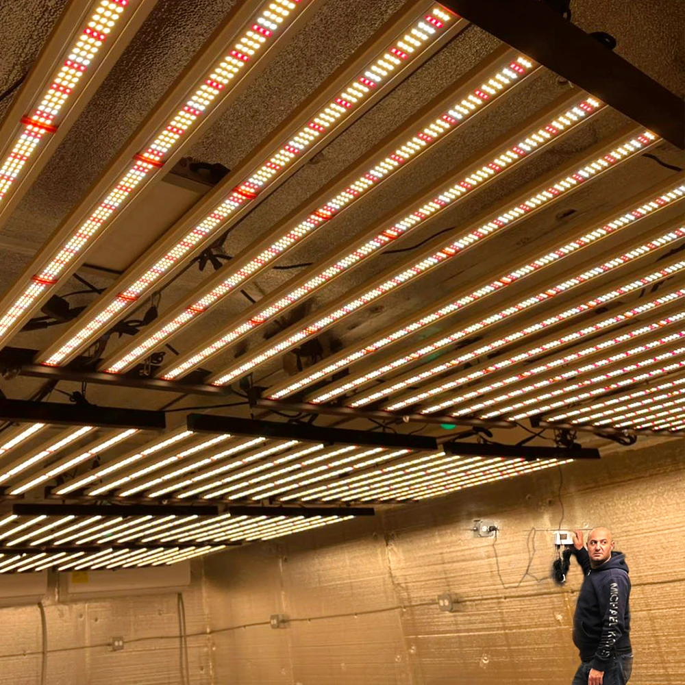 PHLIZON High Efficacy 640w led grow lights bar Full Spectrum led panel grow lights foldable Indoor Grow Light 8 bar