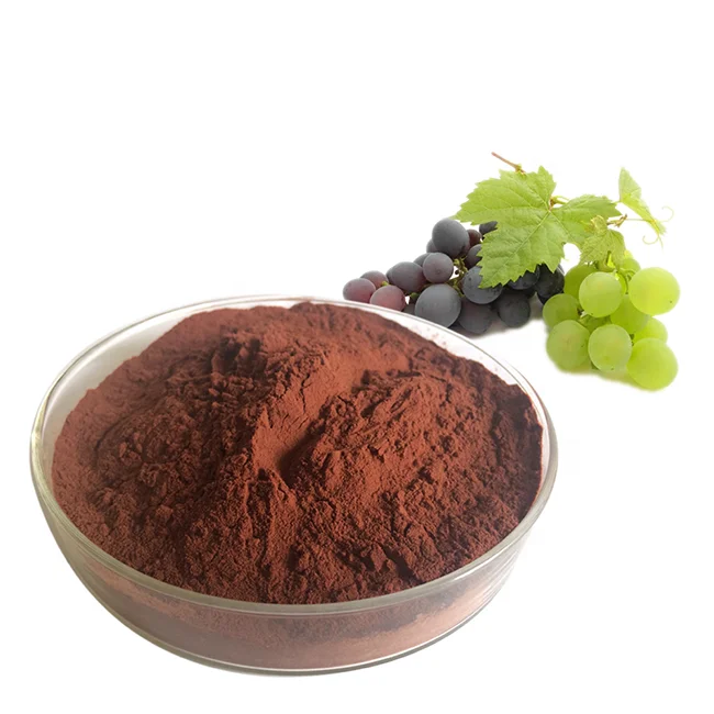 
GMP work standard grape seeds extract powder polyphenols benefit kindneys 
