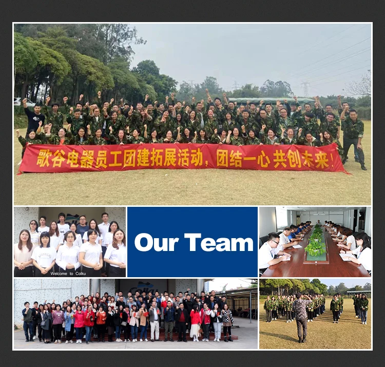 Factory Supply Camping 12V Refrigerator Boxes 42L Boat Fridge Outdoor Portable Freezer for Van Truck