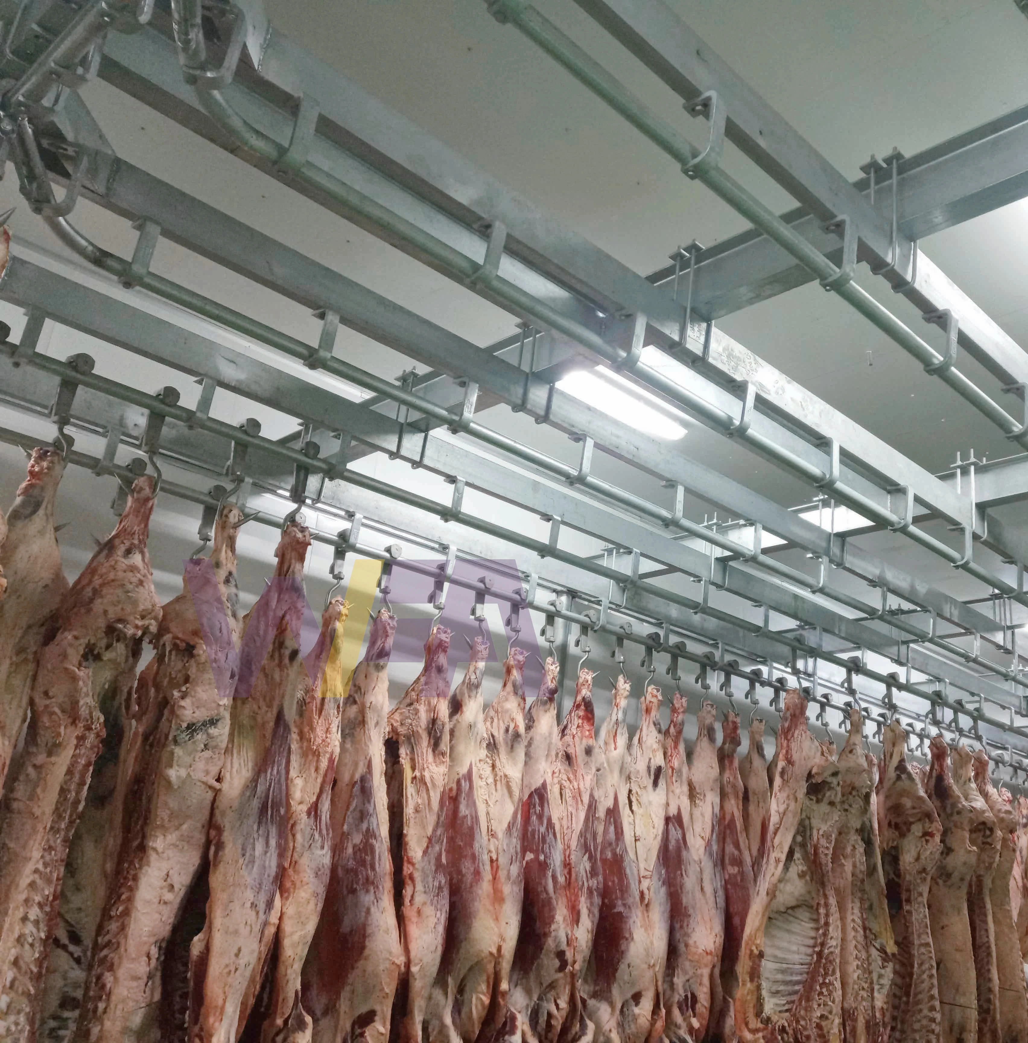 Halal Cow Donkey Slaughtering Machinery With Quality Meat Processing Cattle Butcher Machine