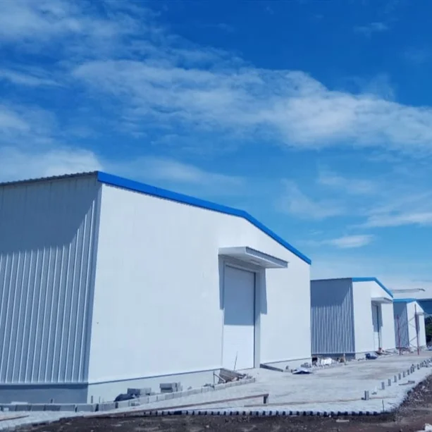Prefabricated Warehouse Steel Structure Workshop Industrial Steel Structure Warehouse