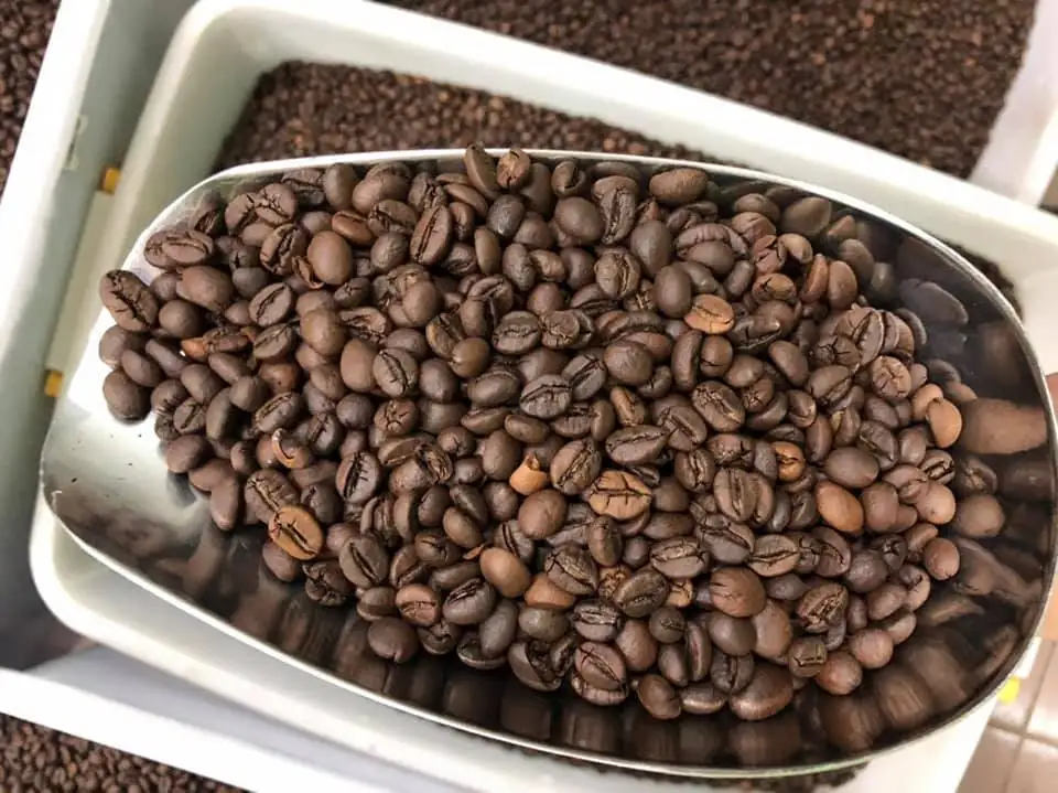 Robusta coffee beans Roasted Coffee Bean Vietnam - WHATSAP 0084989322607