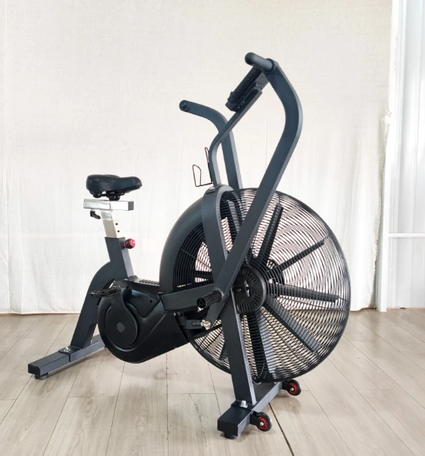 Wholesale customization Factory direct sales Air bike
