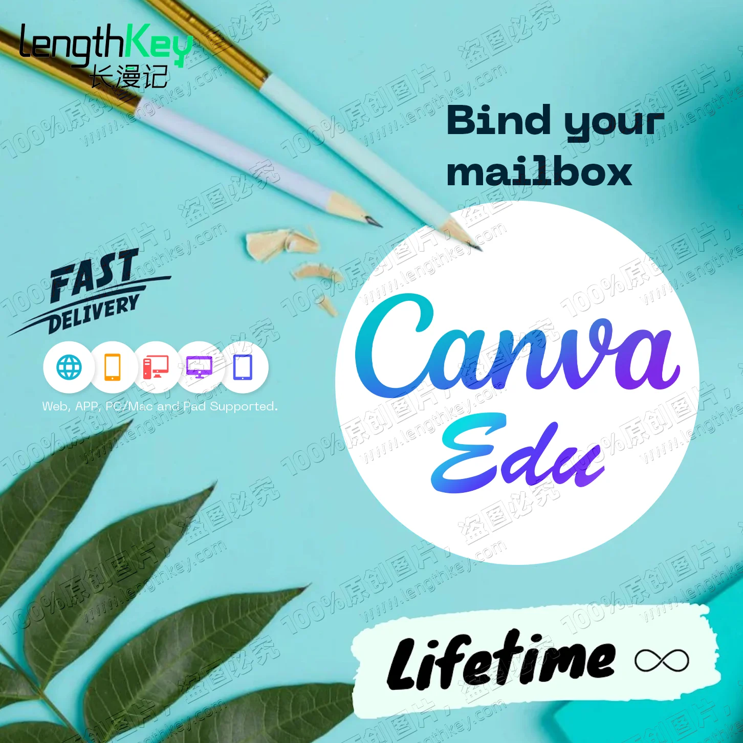 24/7 онлайн Canv Edu Private Account пожизненный официальный подлинный оригинальный графический дизайн программного обеспечения образование не про