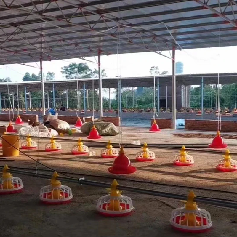 Full-Automatic Poultry Farming Equipment for Broiler Breeding Chicken Shed/Chicken House with Efficient Chicken Bird Feeders
