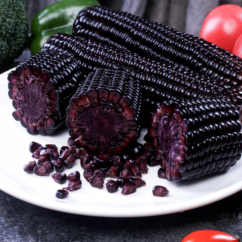 Fresh purple corn sweet corn buyer