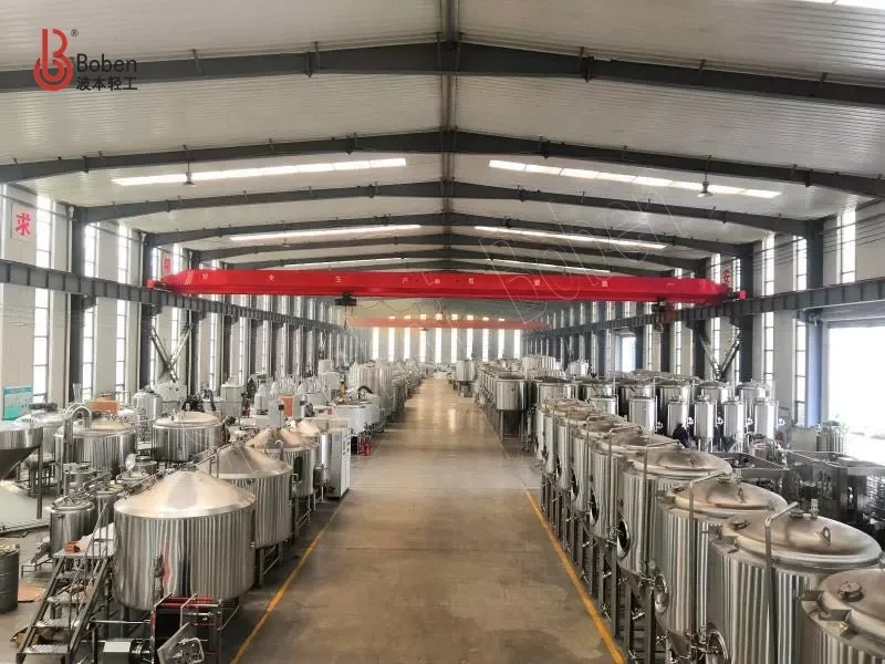 300L 500L Home Beer Brewing Equipment/Stainless Steel Brite Tank For Beer Making