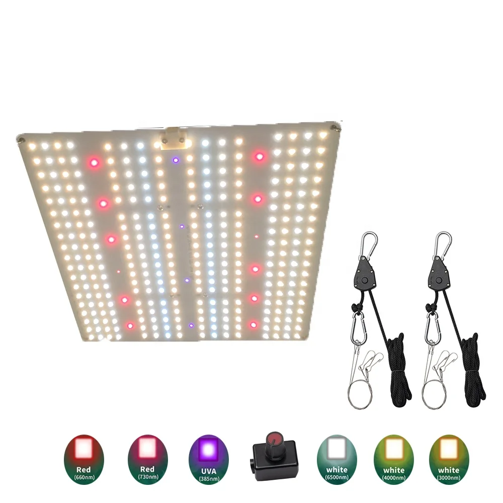 Equal Samsung lm301H EVO 150w full spectrum with 660nm & 730nm &UVA for growing flower stage seeds stage