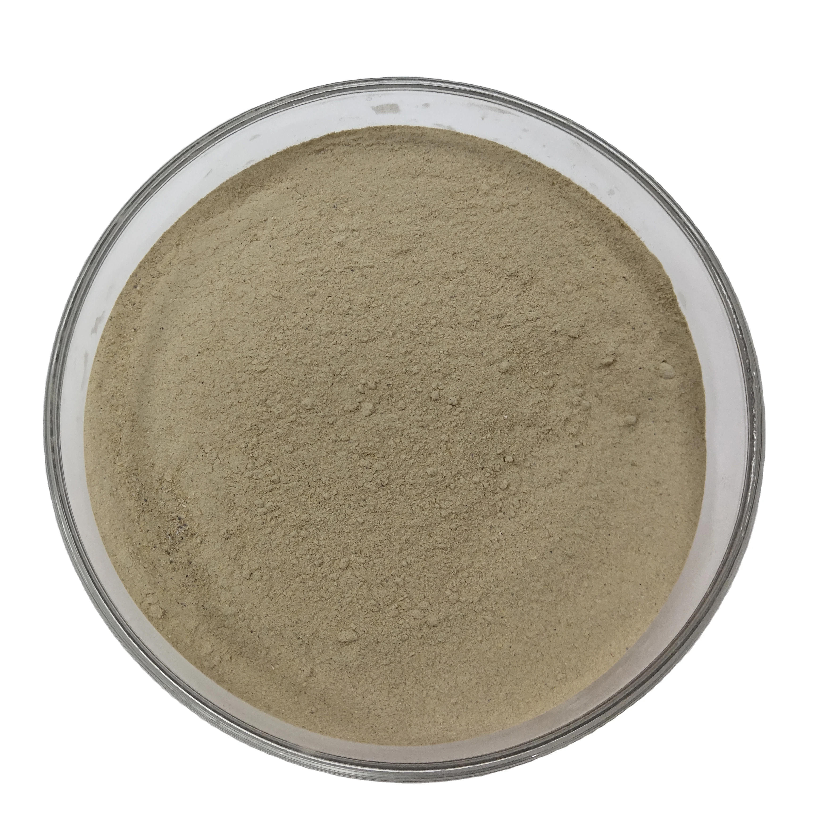 Factory Sale High Efficiency  compound feed enzymes  feed additive  broiler layer piglet use