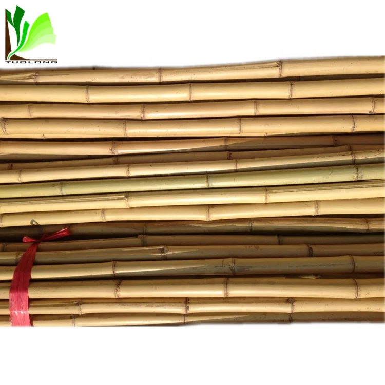Good quality raw bamboo flag pole