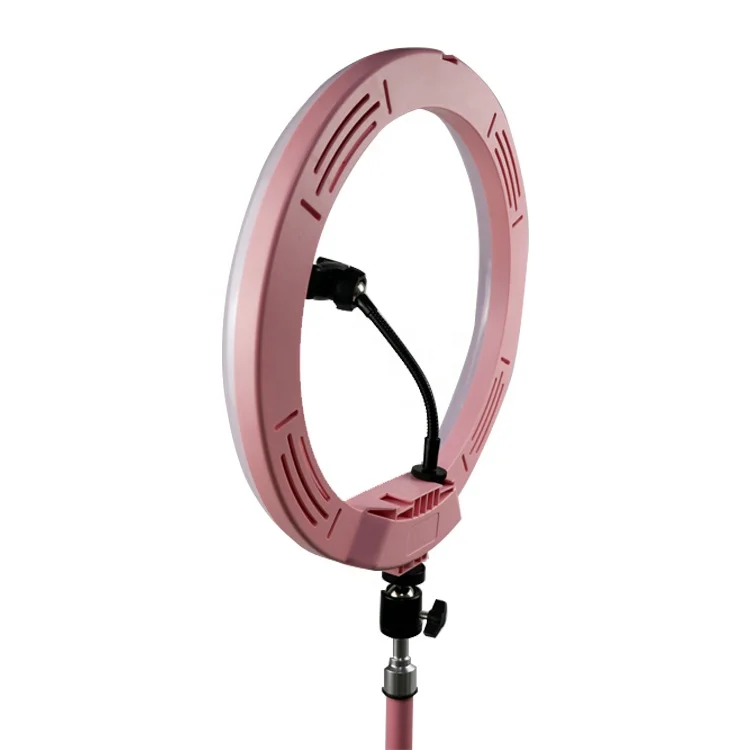 Wholesale Beauty 10 inch Photographic Selfie Led Ring Light With Tripod Stand For Live Stream Makeup Youtube Video