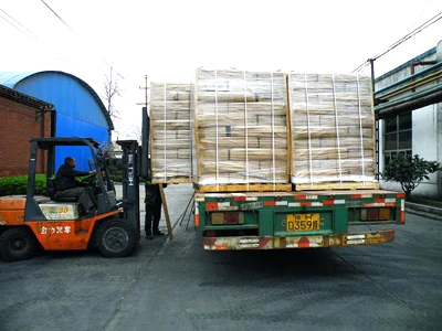  Na2PO3F монофторфосфат натрия 10163-15-2