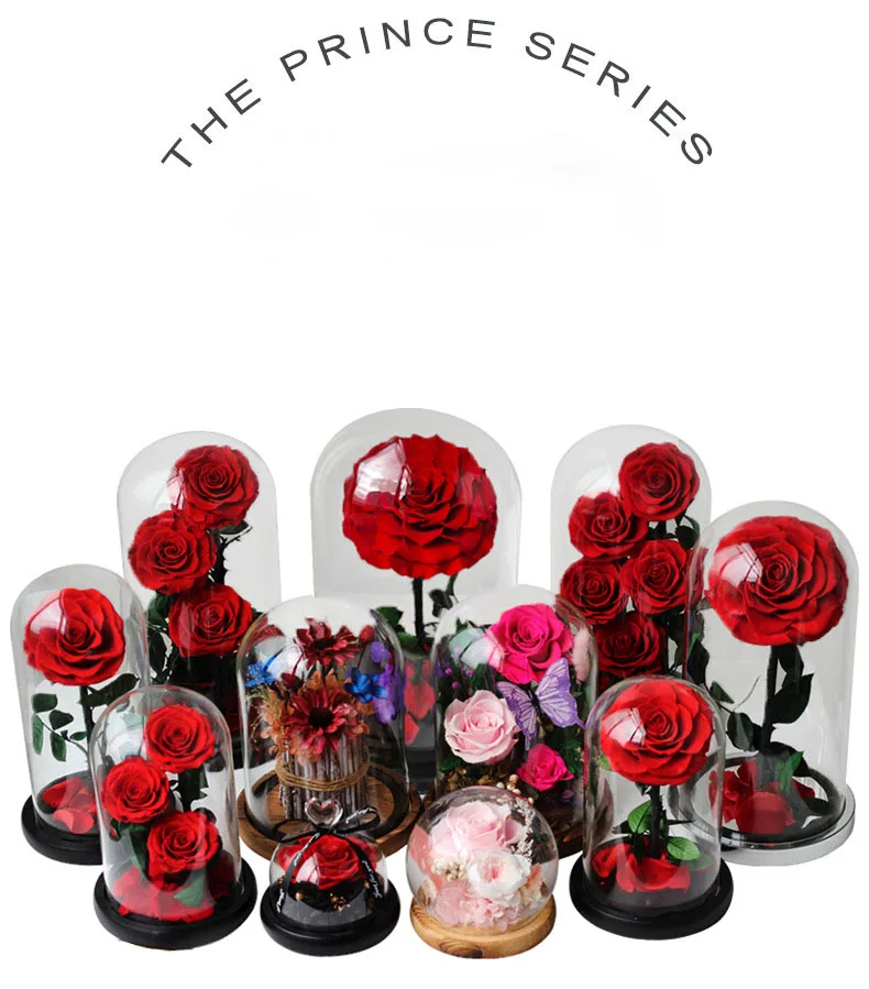 C-31 Eternal Flower Senior Affection Day Gift Rose Real Flower Glass Cover Little Prince Birthday Gift Christmas