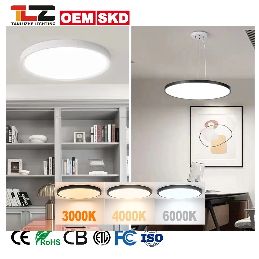 Classic High Lumen Round Square Flat Thin Panel Lamp Fixtures Living Room Flush Mount 3-Color Dimmable LED Black Ceiling Light