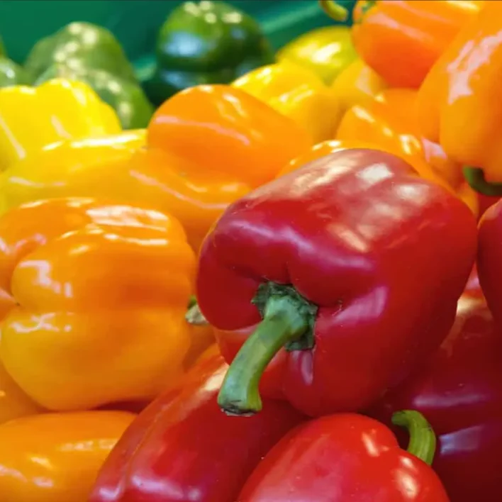 Новый сезон укороченный колокольчик красный желтый зеленый сладкий перец