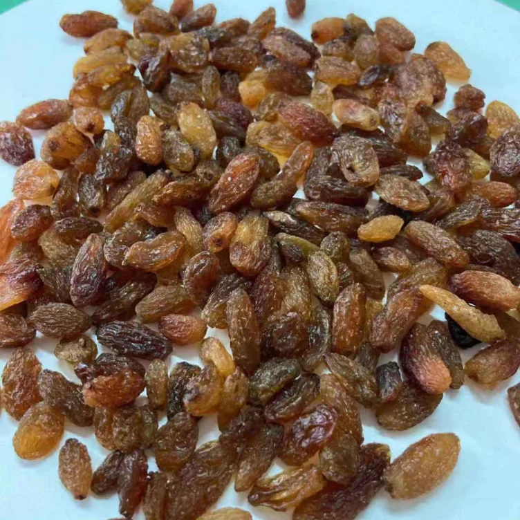 high quality wholesale  xinjiang natural dried raisin dry grape