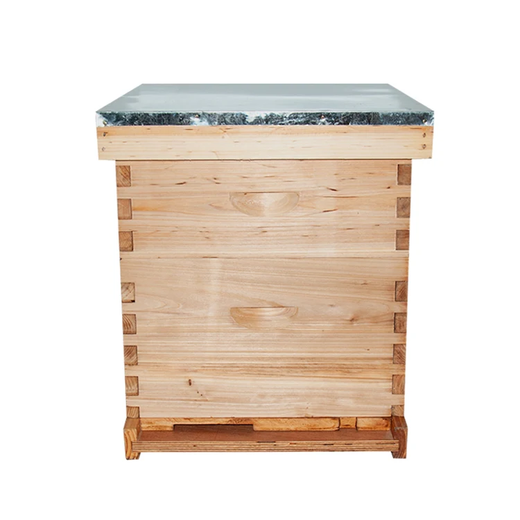 10 Frame Two Layer honey Bee box hive of China