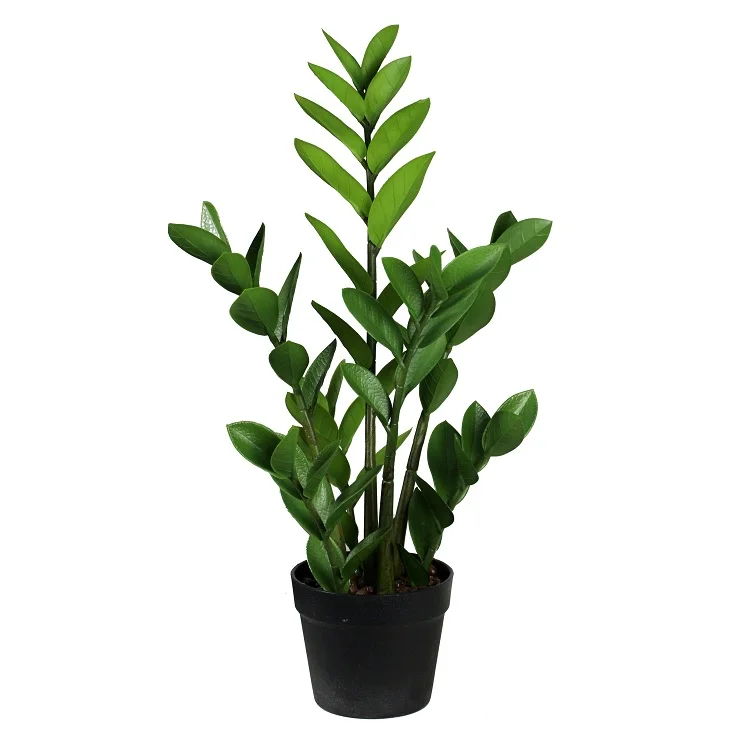 2024 распродажа искусственное растение ZZ 75 см денежное дерево Zamioculcas Zamiifolia