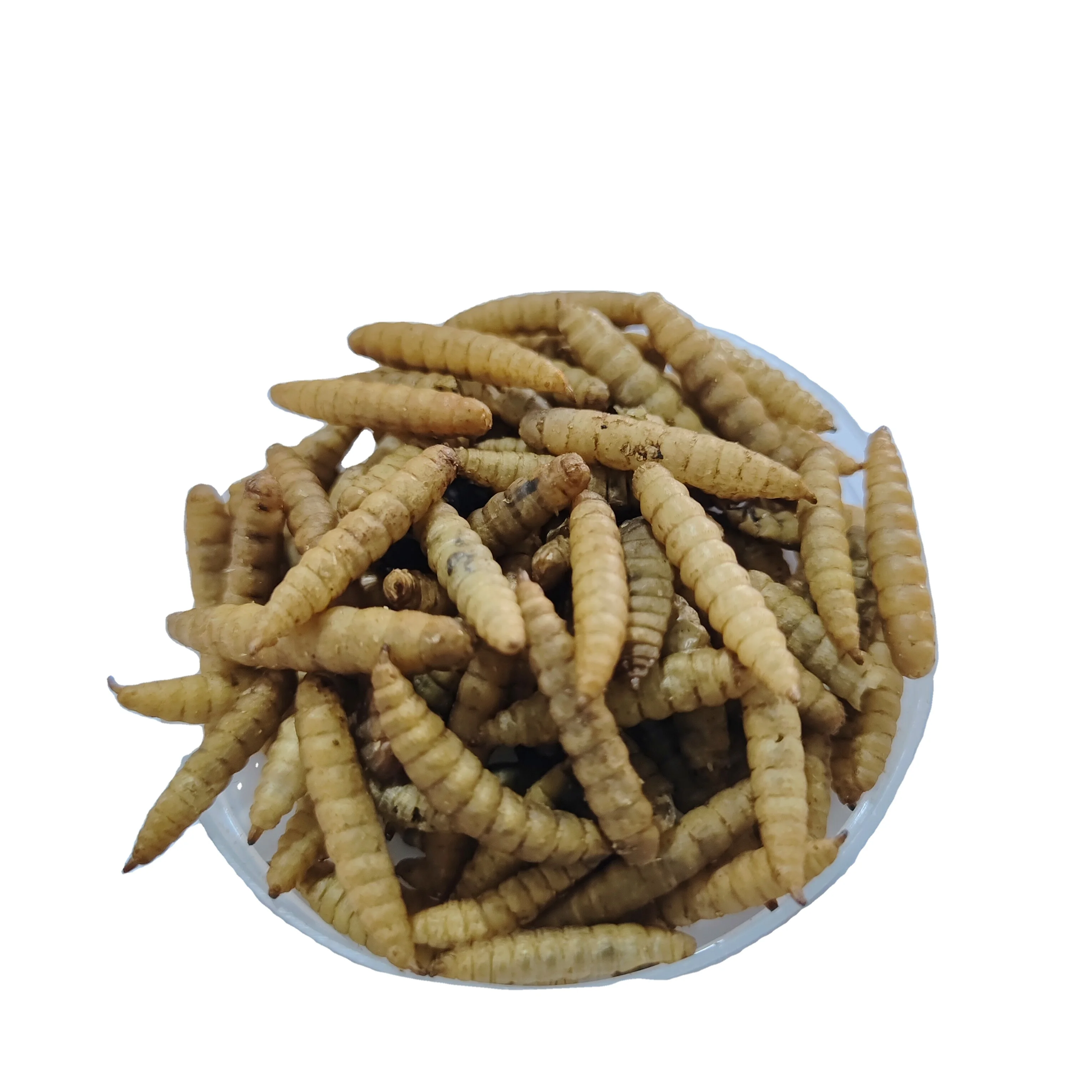 BSF , Dried Black Soldier Fly Larvae , Black Water Fly