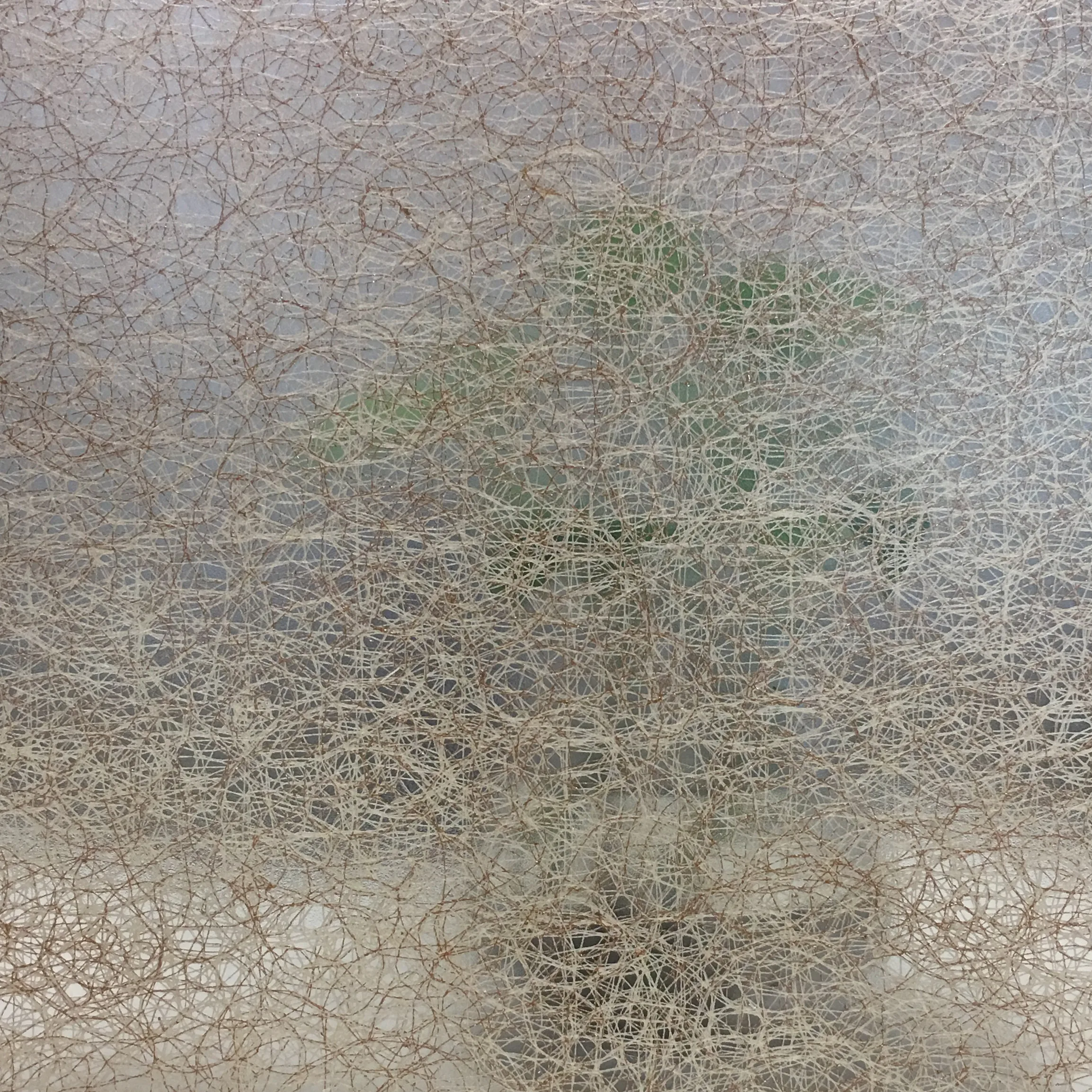 Interior Acrylic Laminated Natural Textile Transparent Plastic Doors