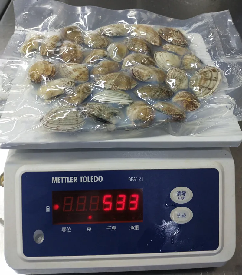 seafood supplier live frozen short necked clam with shell