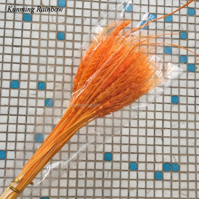 Hot Sale Home Decoration Natural Craft Dried Flowers Multi-colored Real Dried Flowers Wheat