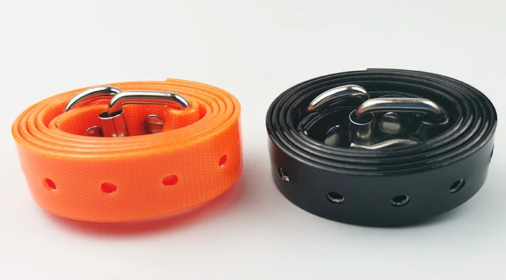 paste-pic-dp_uuid_brnlc