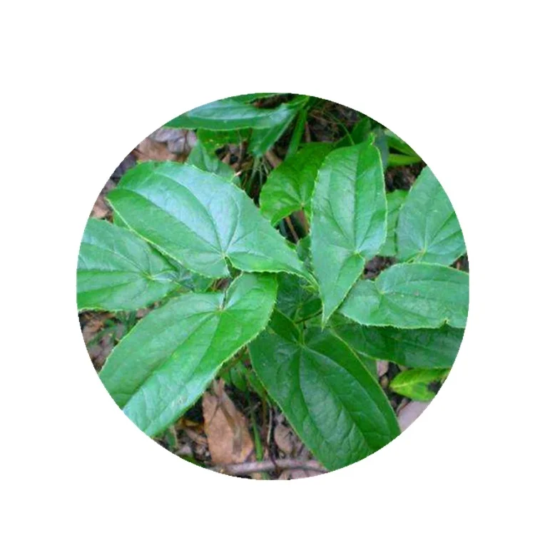 Pure Natural Organic Icariin Epimedium Herb Leaf Extract 10% Icariin Powder