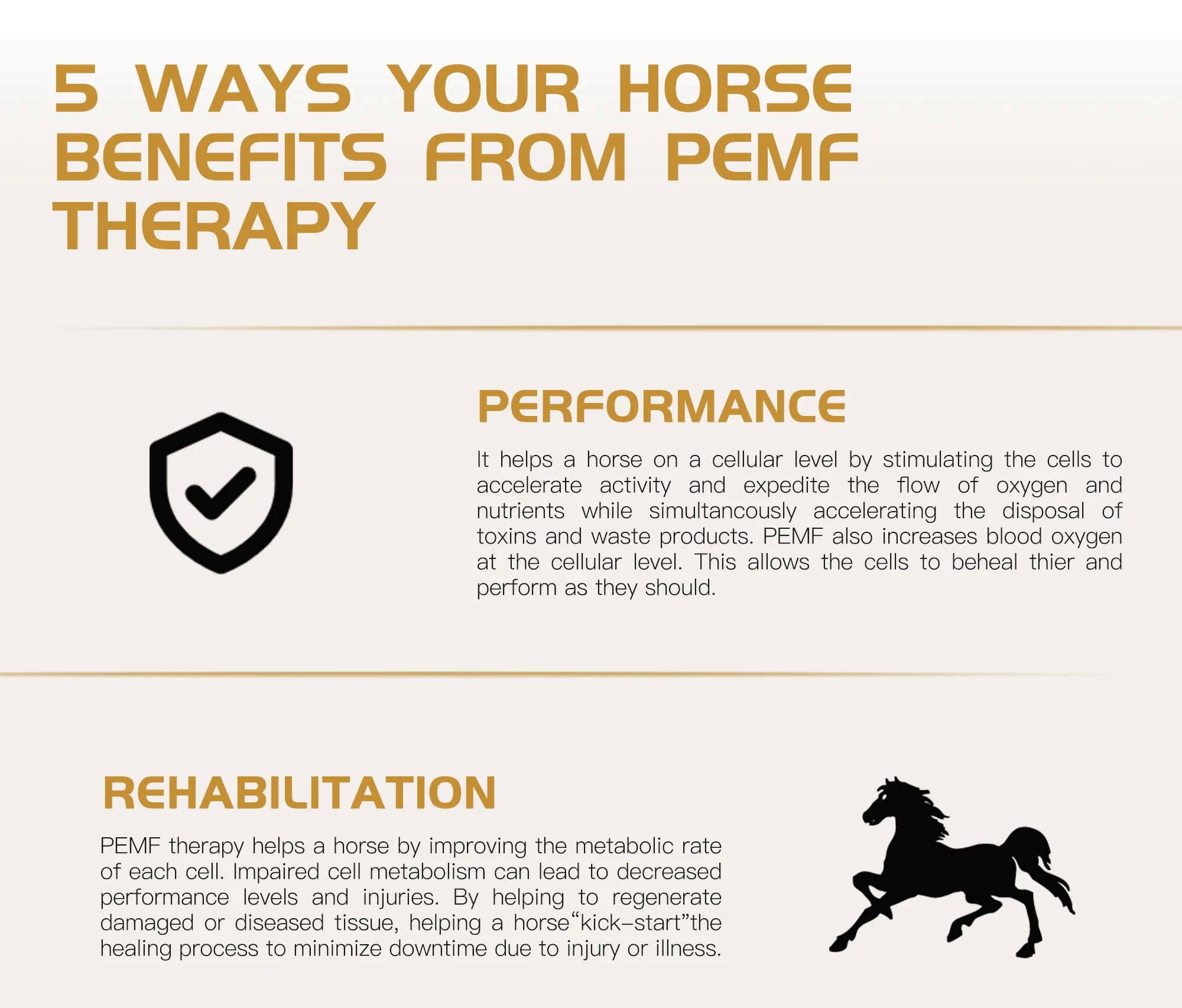 New PMST Equine Magnetic Therapy Machine PEMF Equine Physio Magneto Therapy For  Laminitis Replaceable Handles Machine