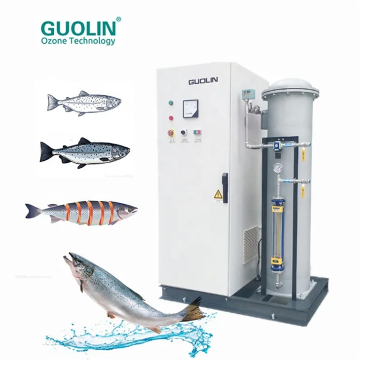 Система рециркуляции аквакультуры, генератор озона для аквакультуры, 500 г, 800 г, очистка воды, очиститель озона, цена