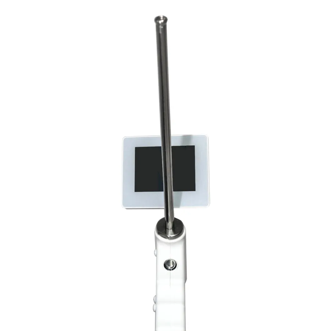 Artificial Veterinary Insemination Instrument for Dogs AI Visible Artificial Insemination Gun