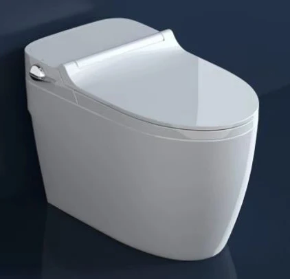 Modern Minimalist toilet Bathroom smart toilet dedicate toilet