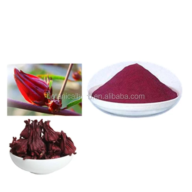 100% Natural Roselle Powder Hibiscus Flower Powder Dry Roselle Flower Extract
