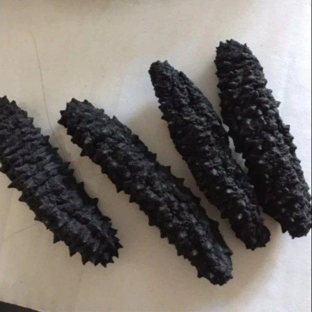 HIGH QUALITY DRIED SEA CUCUMBER -WHITE TEAT FISH- BLACK PRICKLY FISH