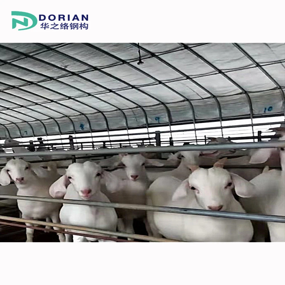 Бесплатный дизайн сборный дом для овец стальная конструкция приют коз сарай фермерское здание распродажа