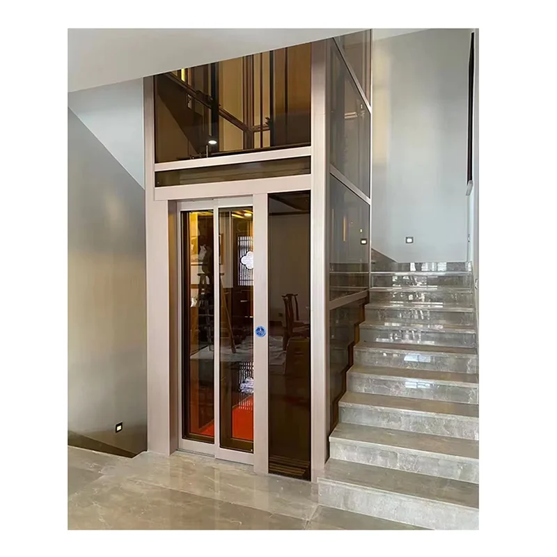 Premium Home Elevator with Traction System for Multi-Level Houses villa elevator