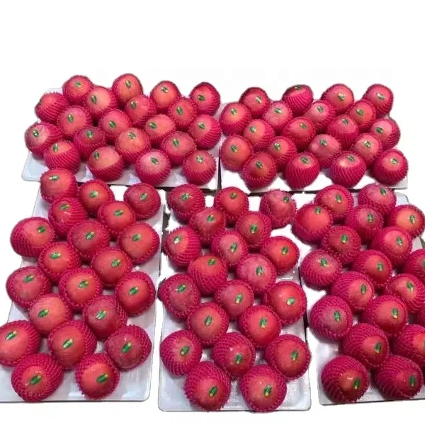 Chinese Fresh Gala Apples/Red Apple/Fuji Apple Price