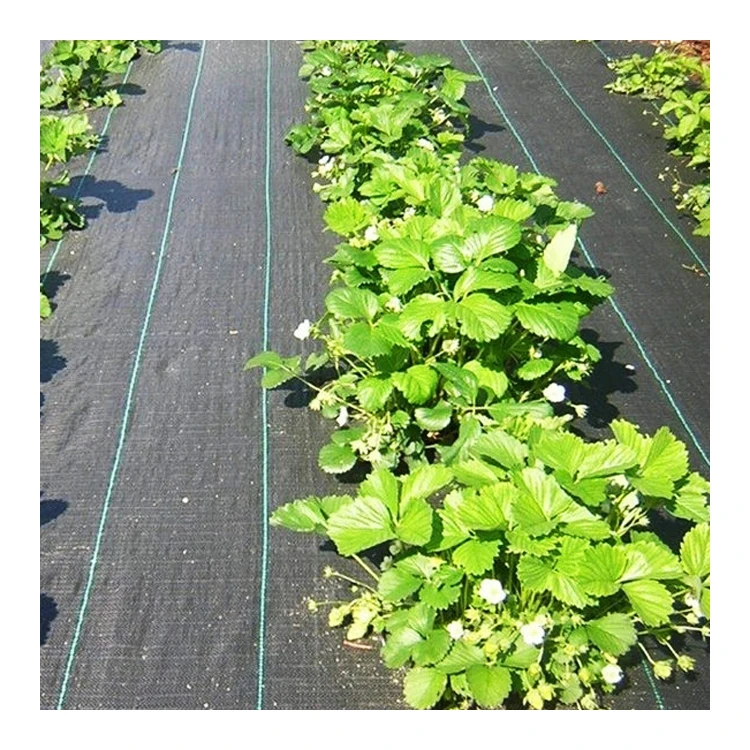 UV Protective Garden Landscape Weed Barrier PP Woven Fabric Anti Grass Cloth Weed Control Mat Mulch Ground Cover